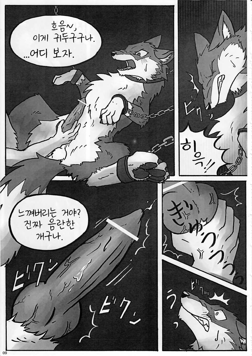 (Fur-st 2) [KTQ48 (Various)] KTQ 13 [Korean] [나나치 저장소] - Page 11