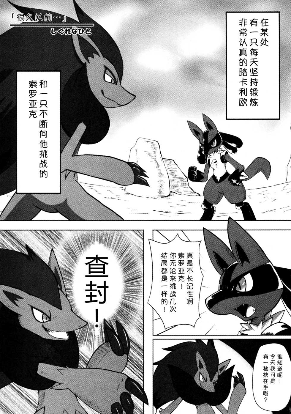 (C92) [Odoshiro Canvas(Kurohane Karasu)] Hadou Friends | 波导朋友 (Pokémon) [Chinese] [尾窝汉化组] - Page 14
