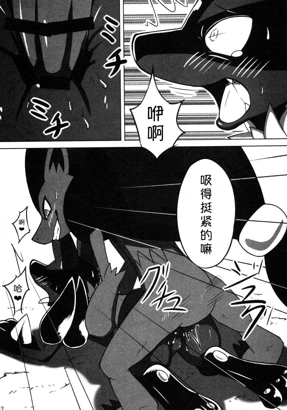 (C92) [Odoshiro Canvas(Kurohane Karasu)] Hadou Friends | 波导朋友 (Pokémon) [Chinese] [尾窝汉化组] - Page 21