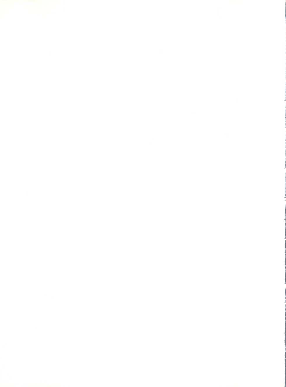 (C61) [RAT TAIL (IRIE YAMAZAKI)] Shippoppo Club House (Various) - Page 35