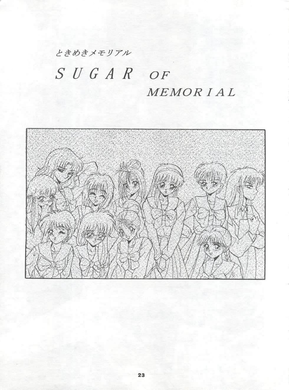 [Studio BIG-X (Arino Hiroshi)] MOUSOU THEATER 2 (Akazukin Chacha, Tokimeki Memorial) - Page 23
