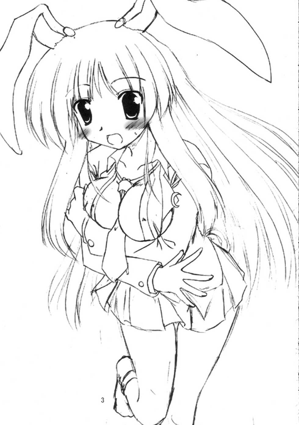(SC33) [Yuugen Jikkou (Gonzaburo-)] BOUSOU-GET! (Touhou Project) - Page 2