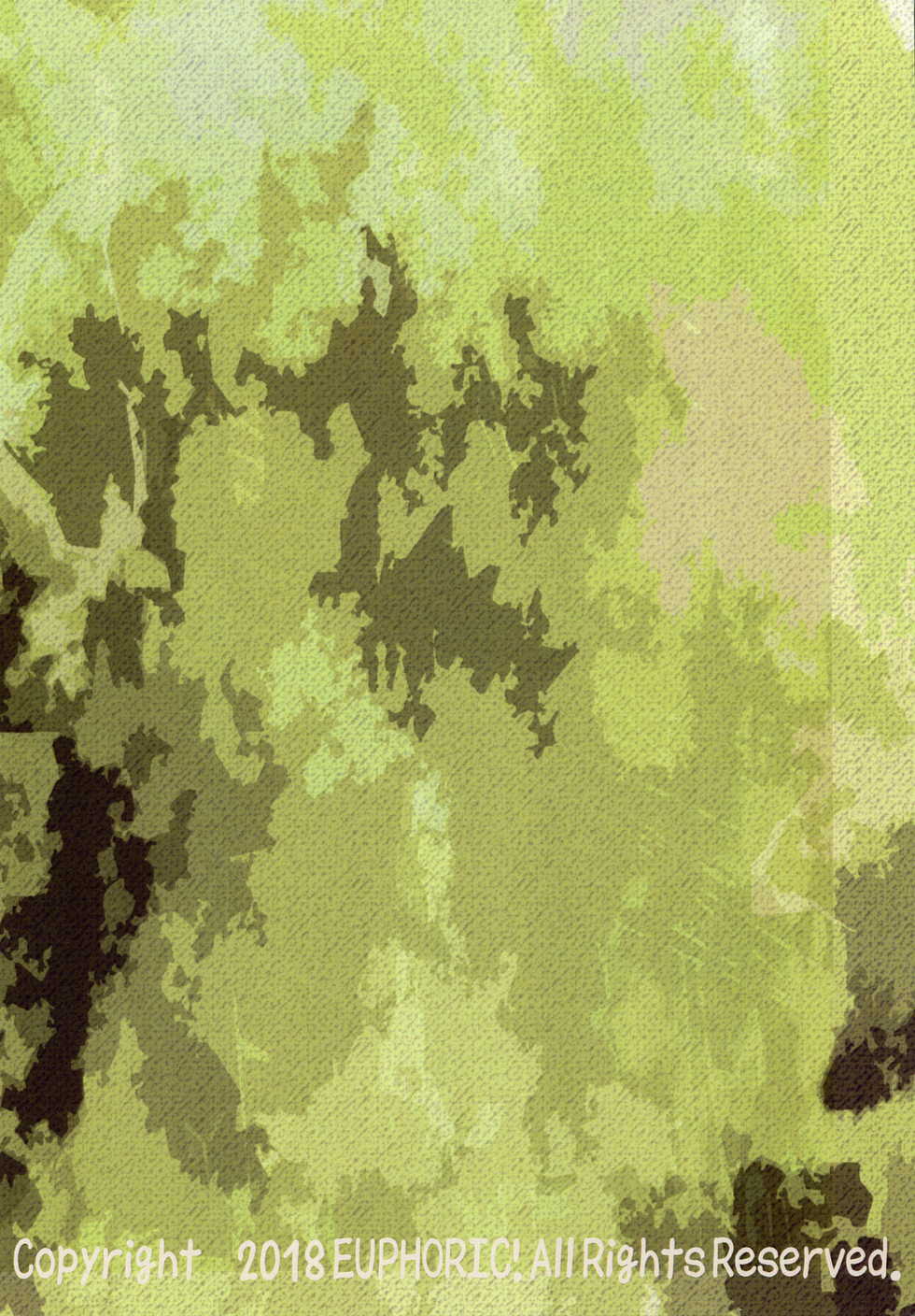 (C95) [EUPHORIC! (Shizuru)] Kasou de no Aruaru (Made in Abyss) - Page 2