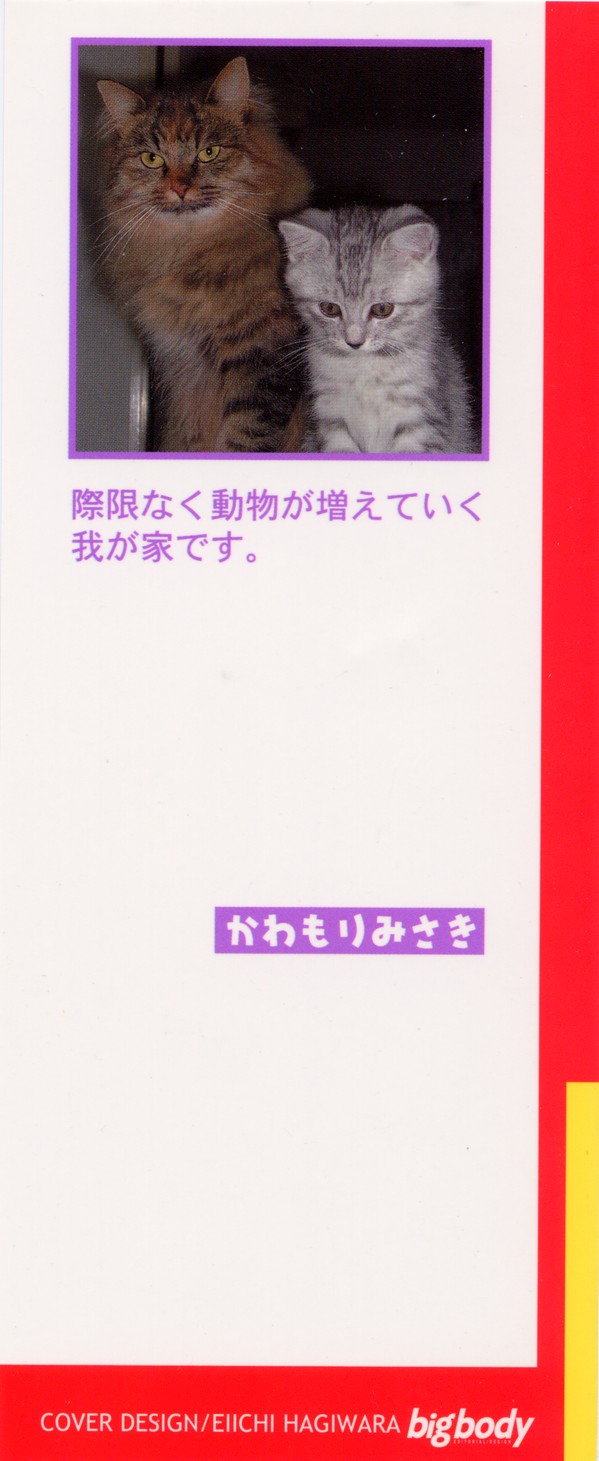 Kawamori Misaki