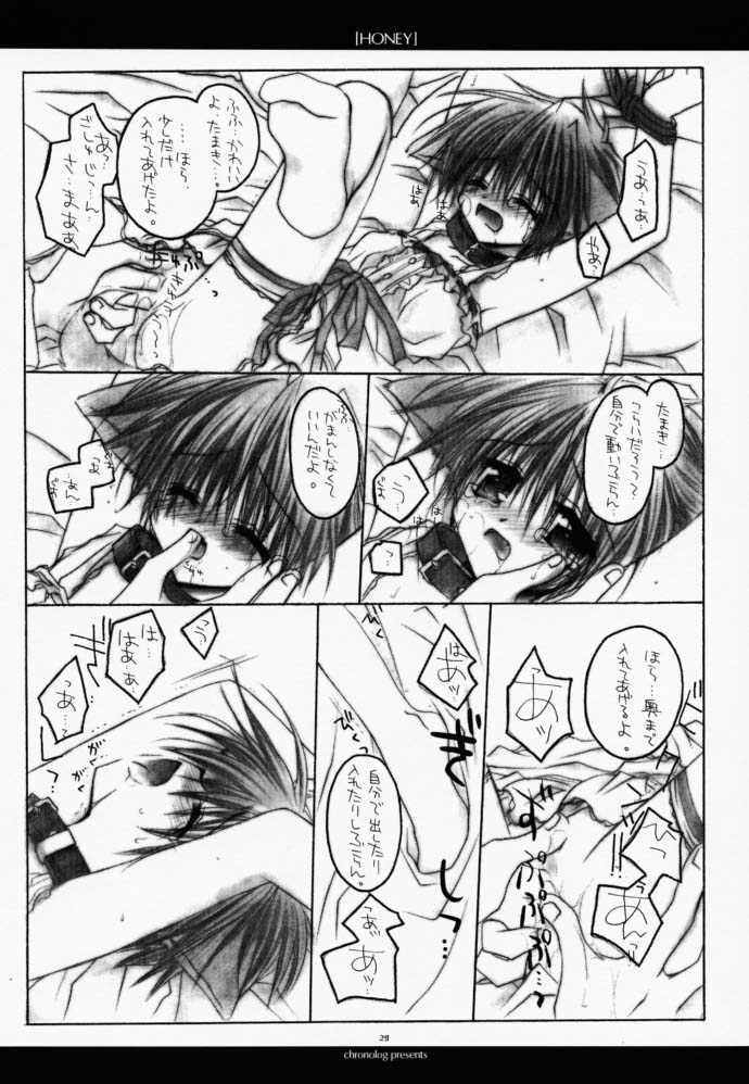 (CR27) [CHRONOLOG (Kanaru Fujimiya, Sakurazawa Izumi)] HONEY (Shin Megami Tensei if...) - Page 28
