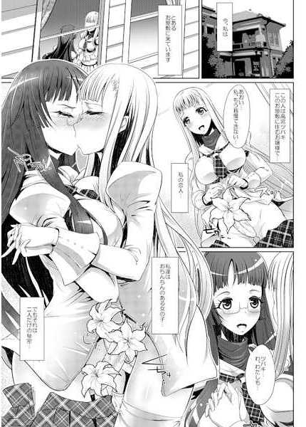 (Futaket 11) [M.O seisakujo (Lewis McLaren)] Himeyaka Full Rage [Sample] - Page 2