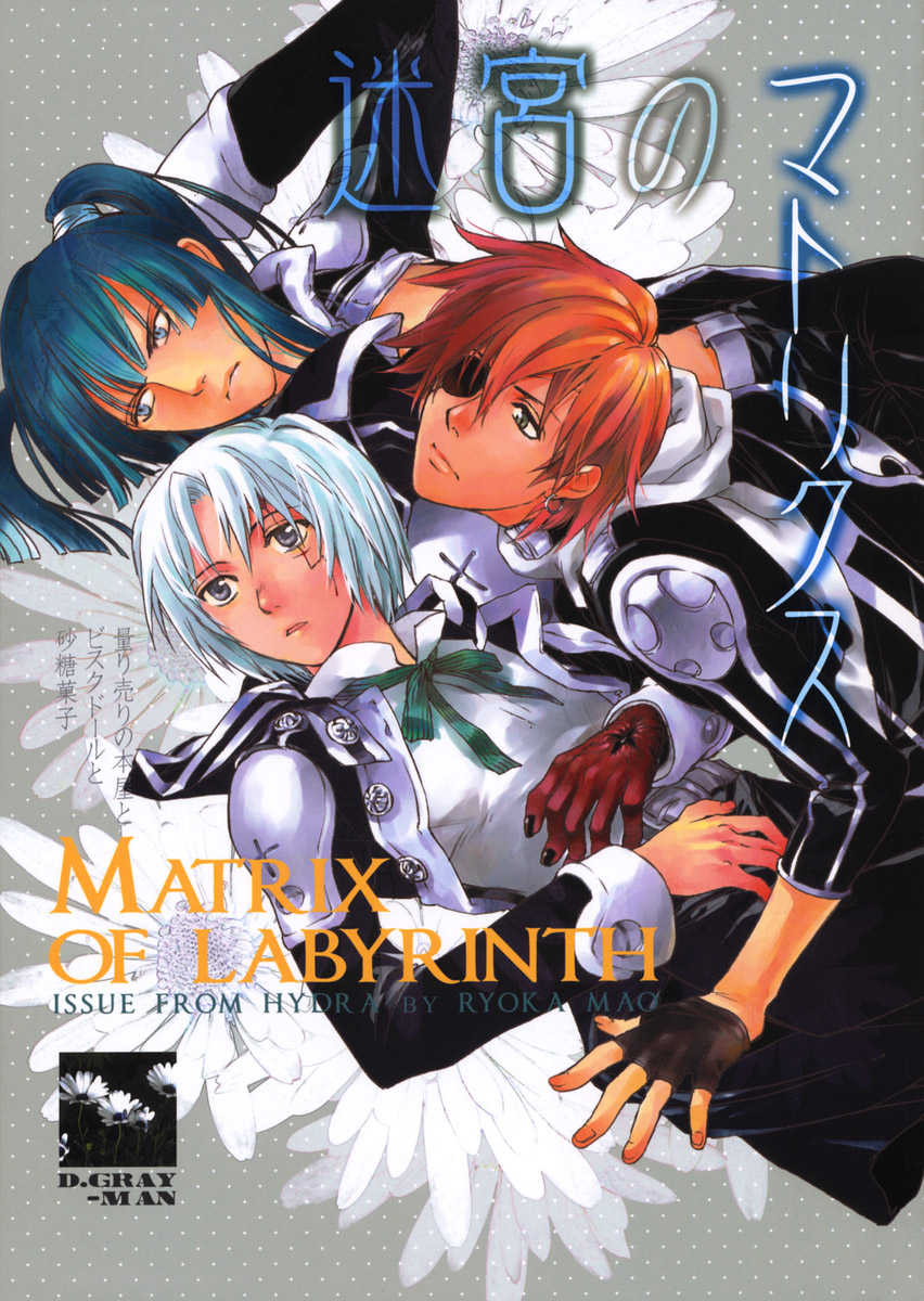 [Mao Ryoka by Hydra] The Matrix of Labirynth [LavixAllen][D.Gray-Man][yaoi] - Page 1