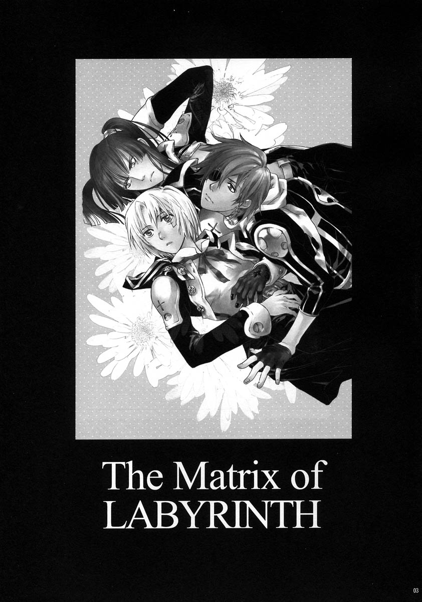 [Mao Ryoka by Hydra] The Matrix of Labirynth [LavixAllen][D.Gray-Man][yaoi] - Page 2