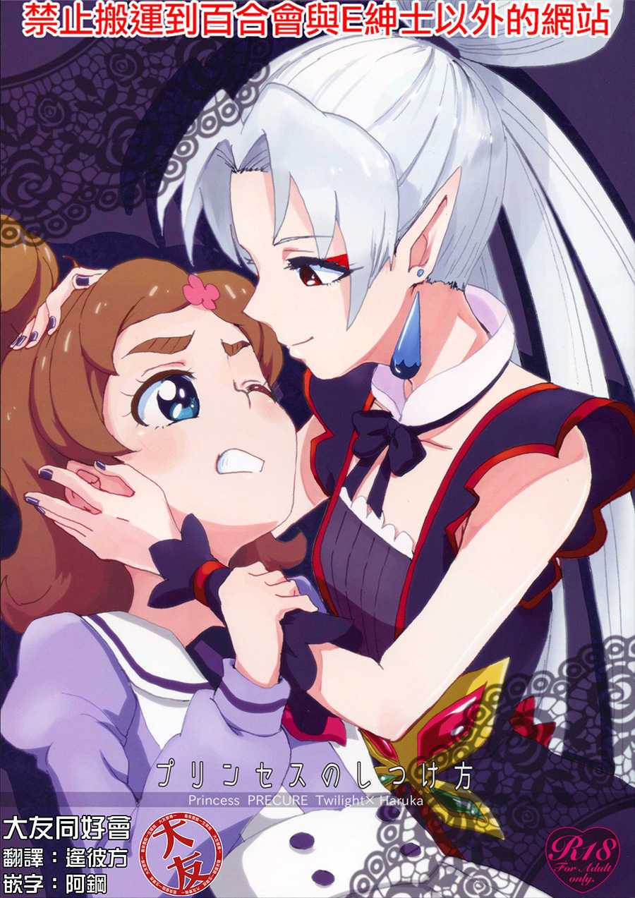 (Rainbow Flavor 13) [Yukirinrin! (Oyu)] Princess no Shitsukekata (Go! Princess PreCure)[Chinese] [大友同好会] - Page 1