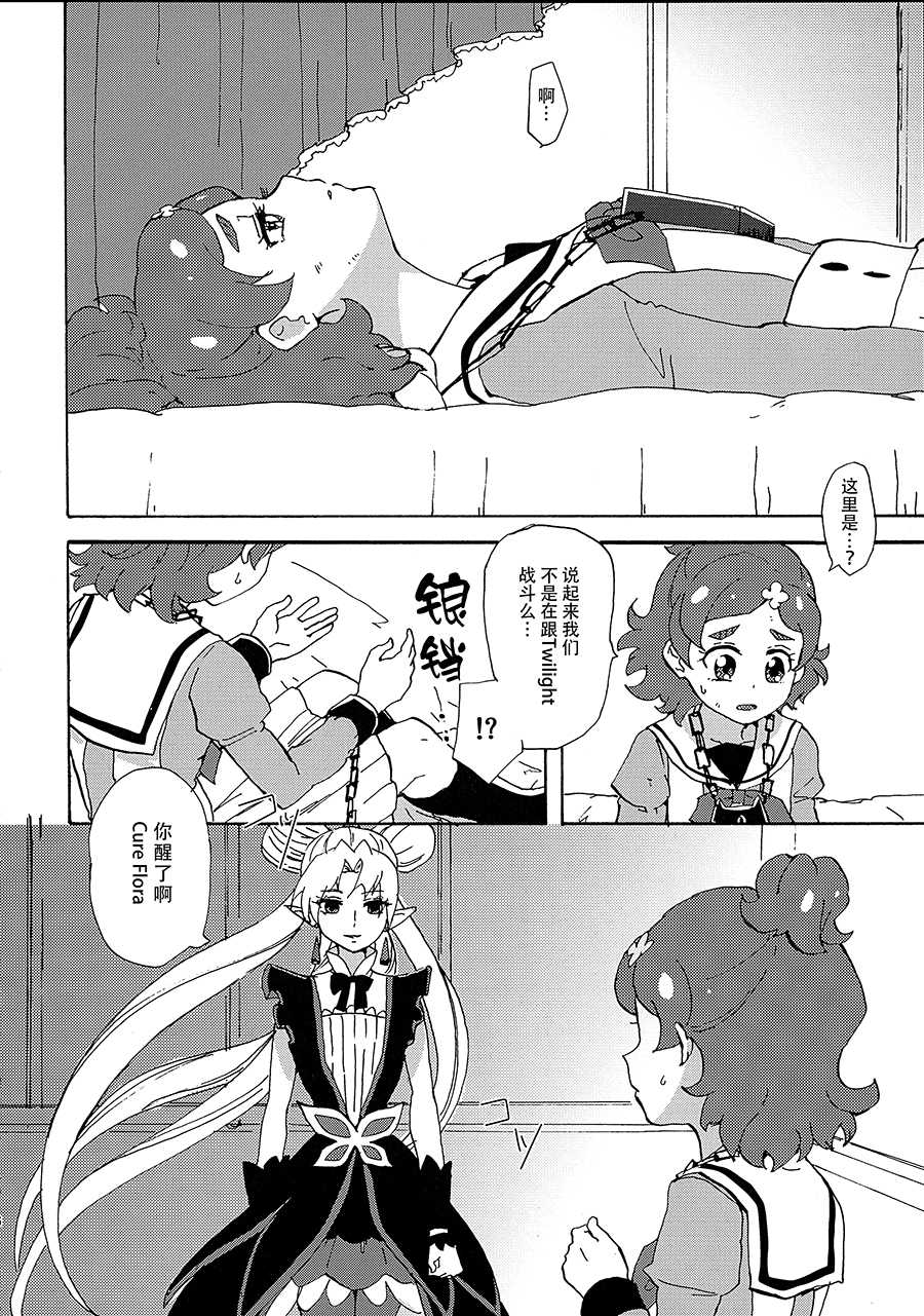 (Rainbow Flavor 13) [Yukirinrin! (Oyu)] Princess no Shitsukekata (Go! Princess PreCure)[Chinese] [大友同好会] - Page 5