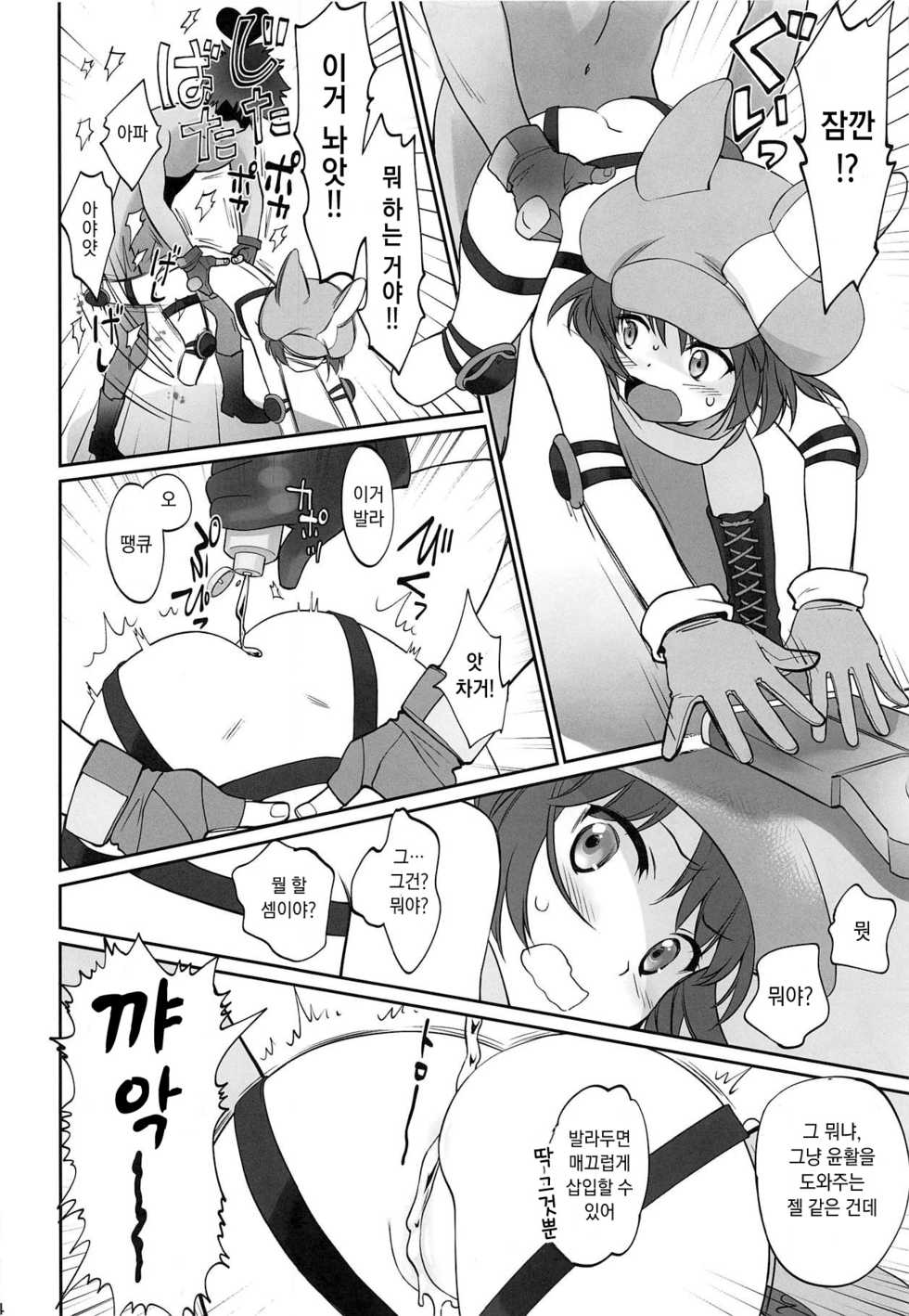 (C95) [Bloody Okojo (Mojyako)] PINK! (Sword Art Online Alternative Gun Gale Online) [Korean] - Page 13