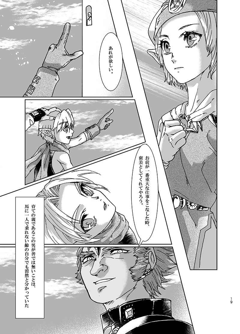 (ALL STAR 11) [MYLAB (Shiroa Urang)] epsiloNCarinae (The Legend of Zelda) [Sample] - Page 5