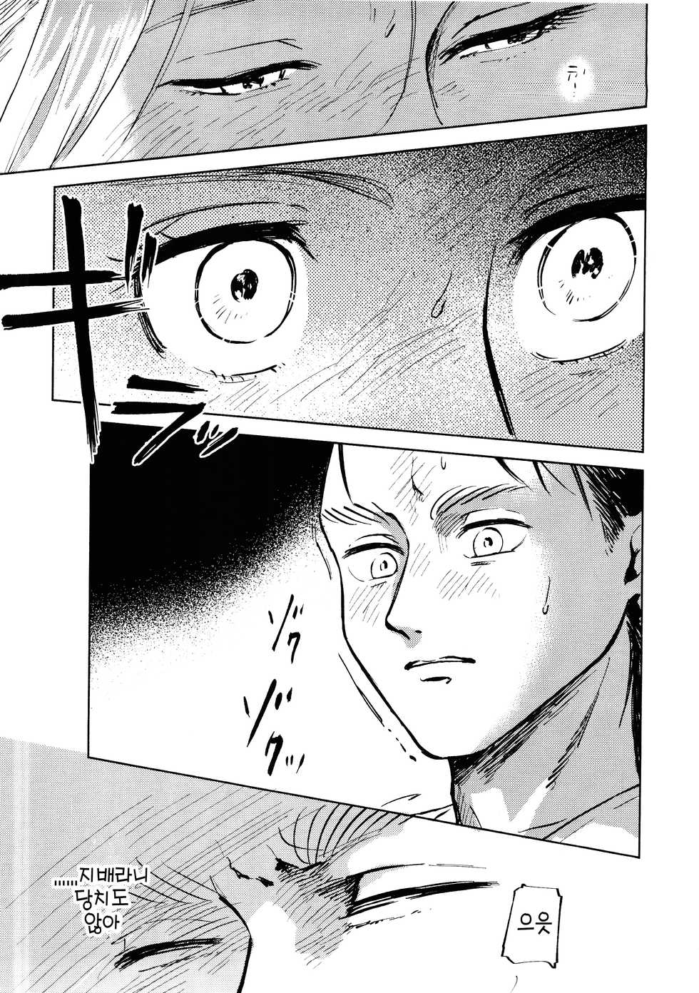 (Dai 25 Kai Hekigai Chousa Haku) [bin (Enko)] Ryuseigun ni Oyasumi | 잘 자, 유성군 (Shingeki no Kyojin) [Korean] - Page 25