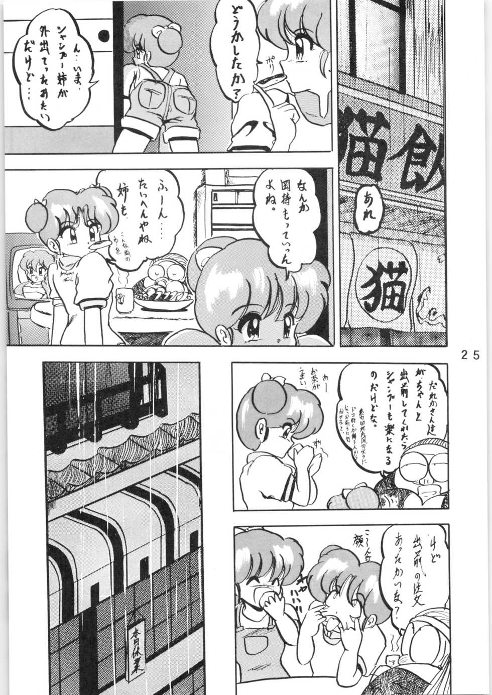 [L-Gauge Sha (Shouryuu)] WA Vol. 3 (Ranma 1/2) [1995-04-16] - Page 25