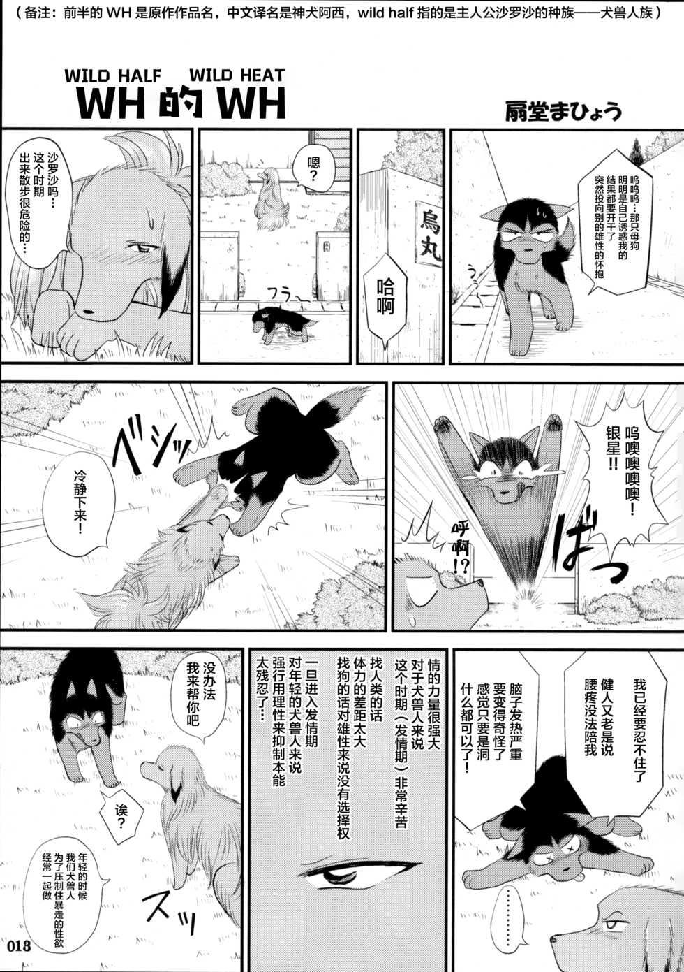 (Fur-st) [KEMONERS FUREST (Various)] Yotsu Ashi [Chinese] [悬赏大厅x新桥月白日语社汉化] - Page 12