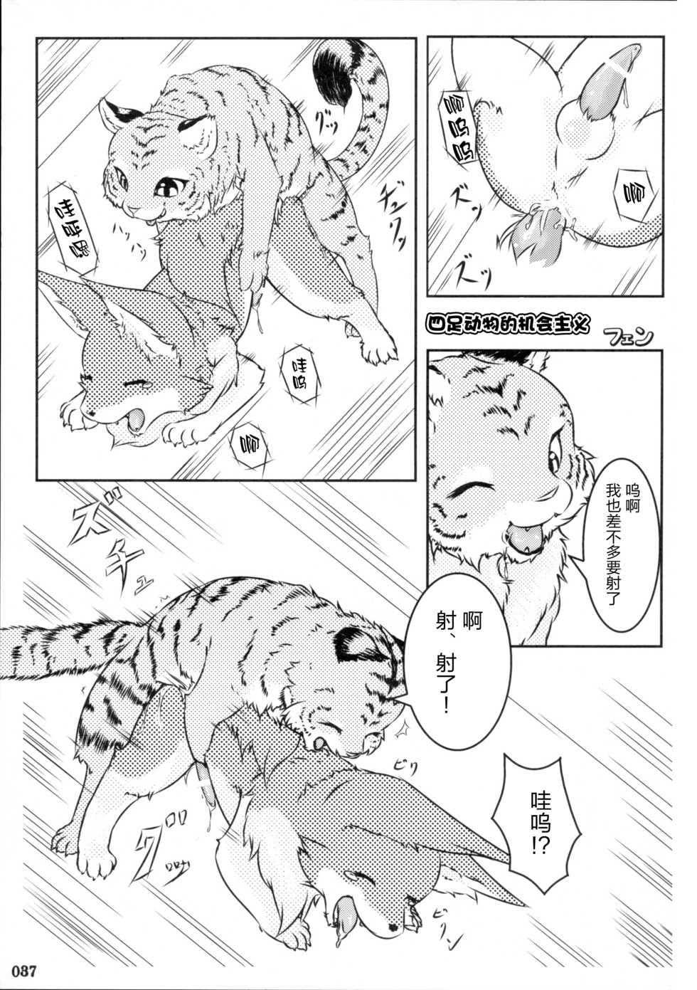 (Fur-st) [KEMONERS FUREST (Various)] Yotsu Ashi [Chinese] [悬赏大厅x新桥月白日语社汉化] - Page 36