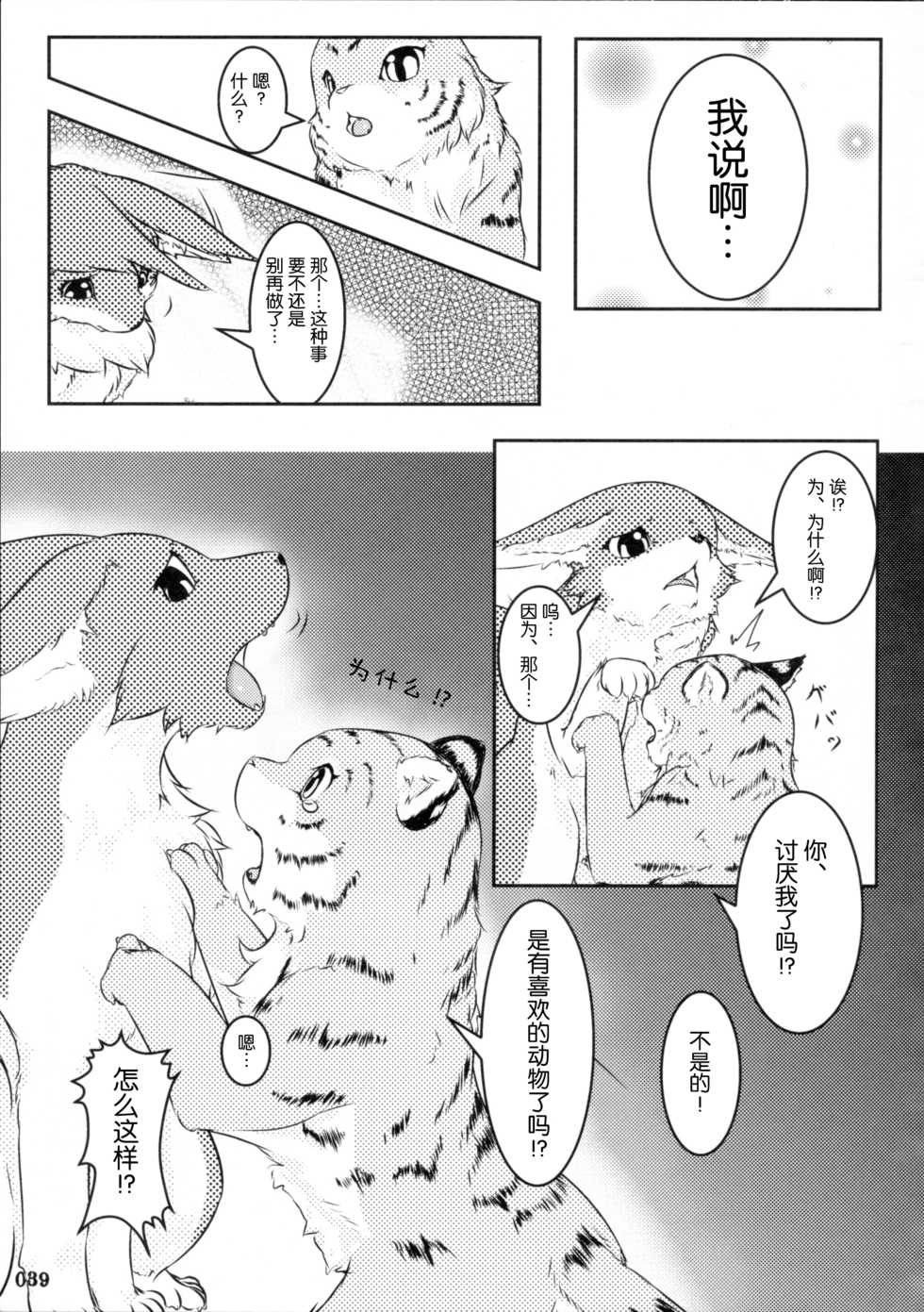(Fur-st) [KEMONERS FUREST (Various)] Yotsu Ashi [Chinese] [悬赏大厅x新桥月白日语社汉化] - Page 38