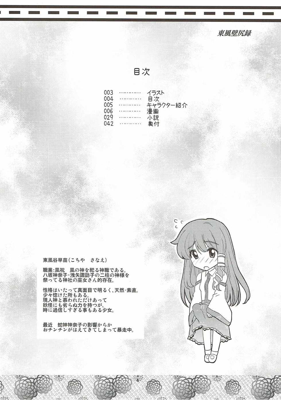 (C80) [Hanyan. (Nekomimi Kanon, Hida)] Toufuu Kabejiriroku (Touhou Project) [English] [Raknnkarscans] - Page 3