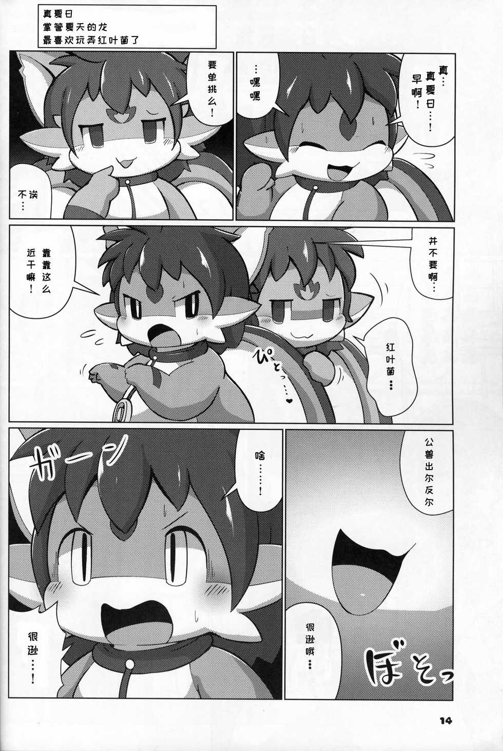 (Kansai! Kemoket 8) [Dounatsu kyookai (Various)] Shiki Doragonzu | 四季之龙 [Chinese] [虾皮汉化组] - Page 14