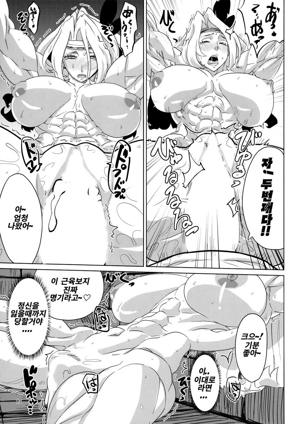 (C85) [Sora wa Chimidoro (JACKASSS)] Amazon To Be Diminished (Dragon's Crown) [Korean] - Page 13