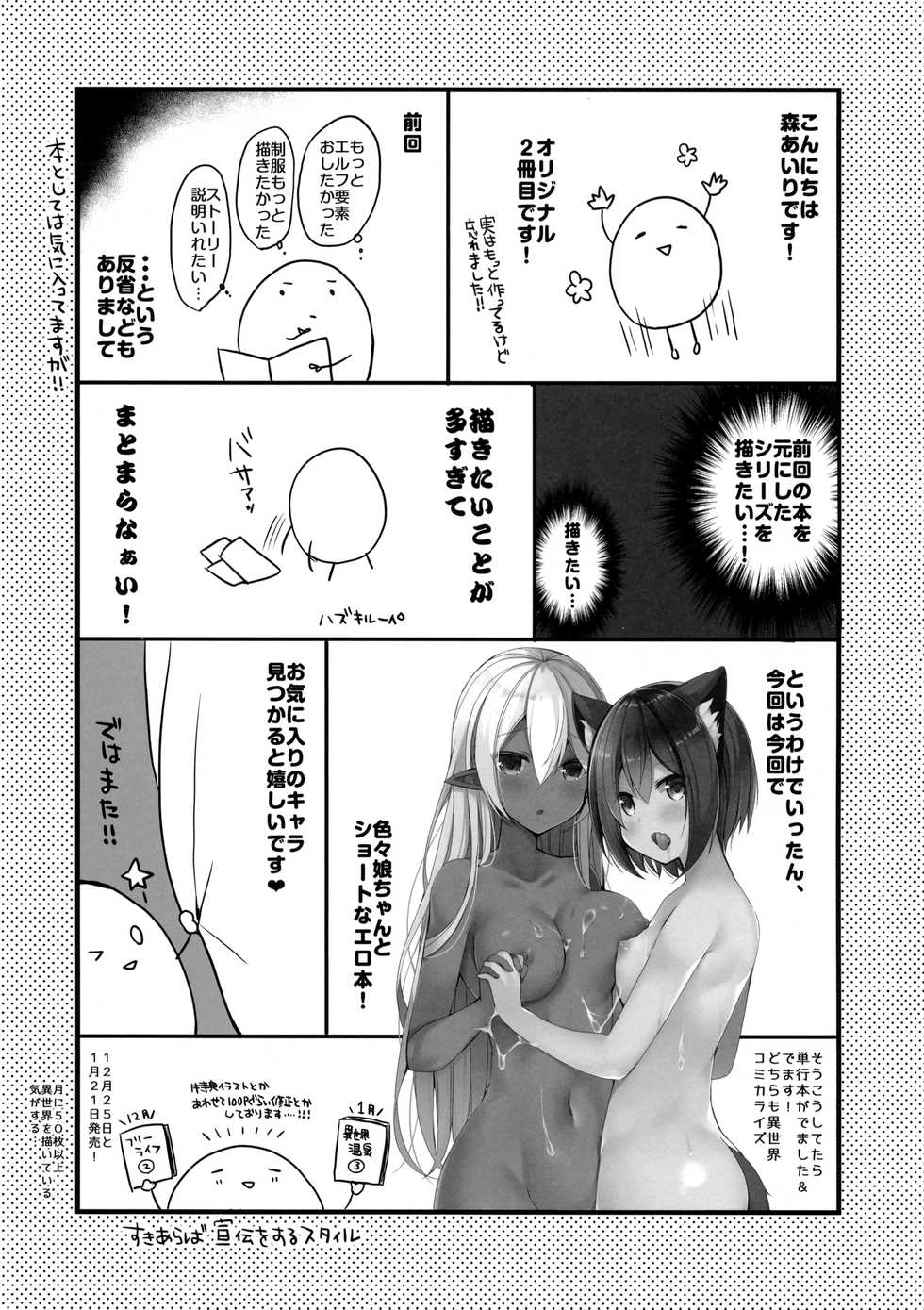 (C95) [moriQ (Mori Airi)] Isekai Shoujo Onedarix - Page 14