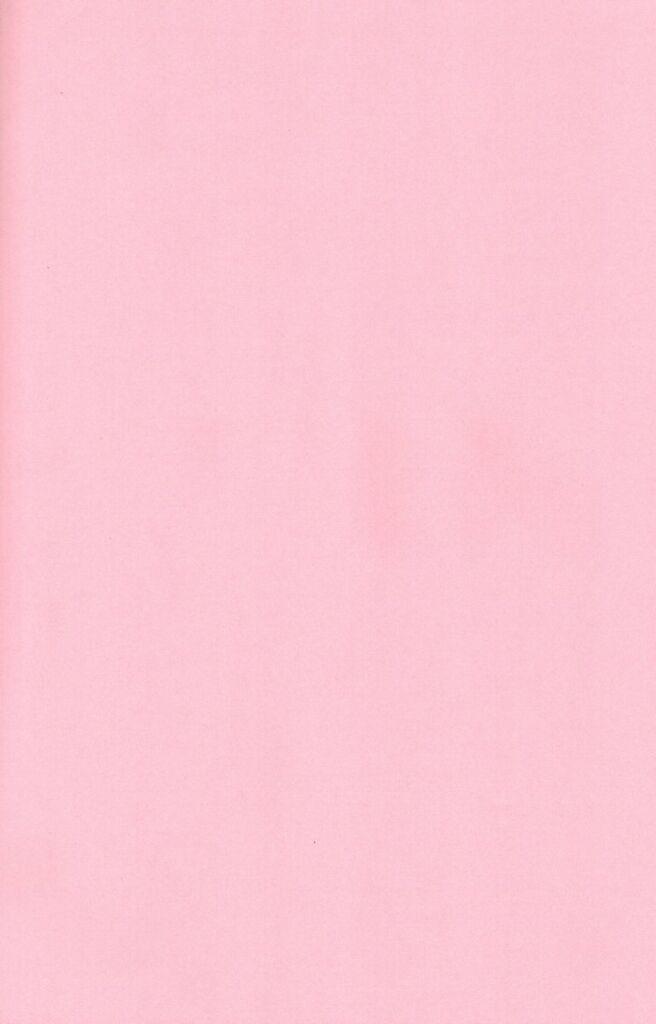 (CR31) [Kaiki Nisshoku (Ayano Naoto)] Untouchable Girls (Tsukihime) - Page 3