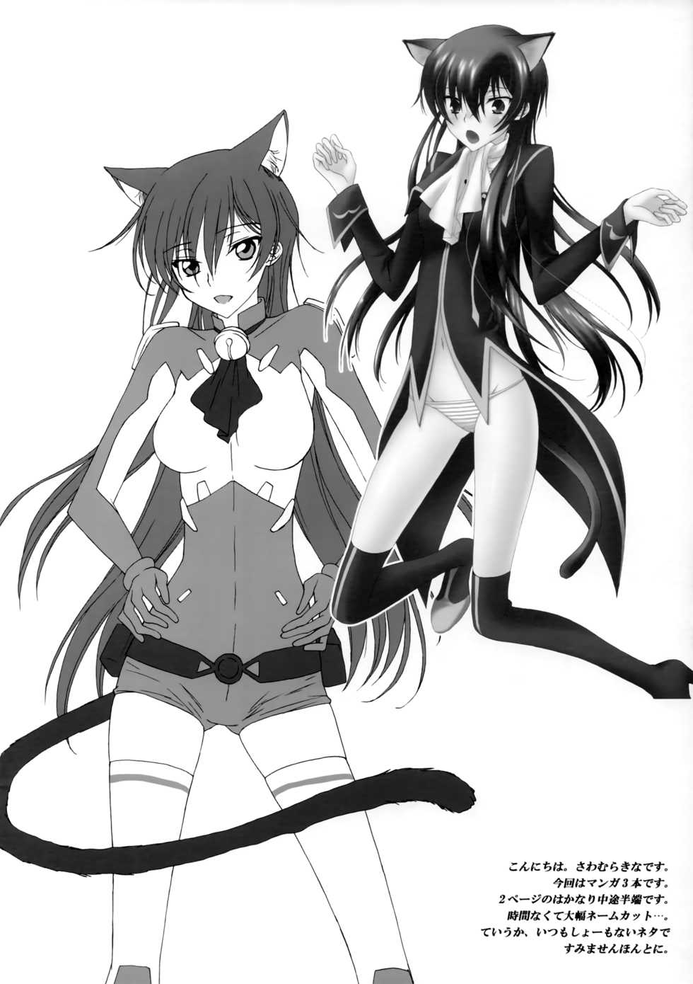 [MAX&Cool. (Sawamura Kina)] Strawberry Nyan Day (Code Geass: Lelouch of the Rebellion) - Page 3