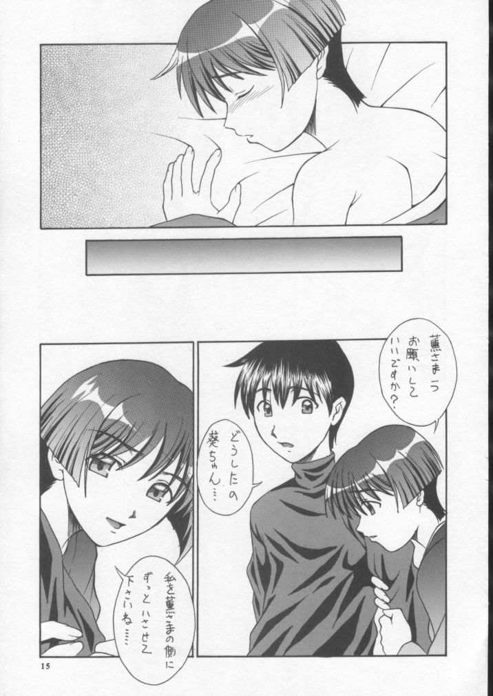 (C62) [BREEZE (Haioku)] R25 Vol.7 Aizen (Ai Yori Aoshi) - Page 14