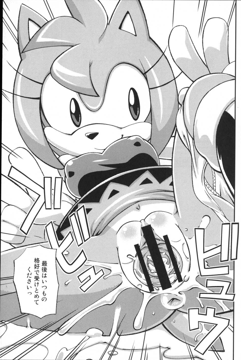 (C83) [Tengai Aku Juumonji (Various)] Ore no Fuyu 2012 (Sonic The Hedgehog) - Page 18