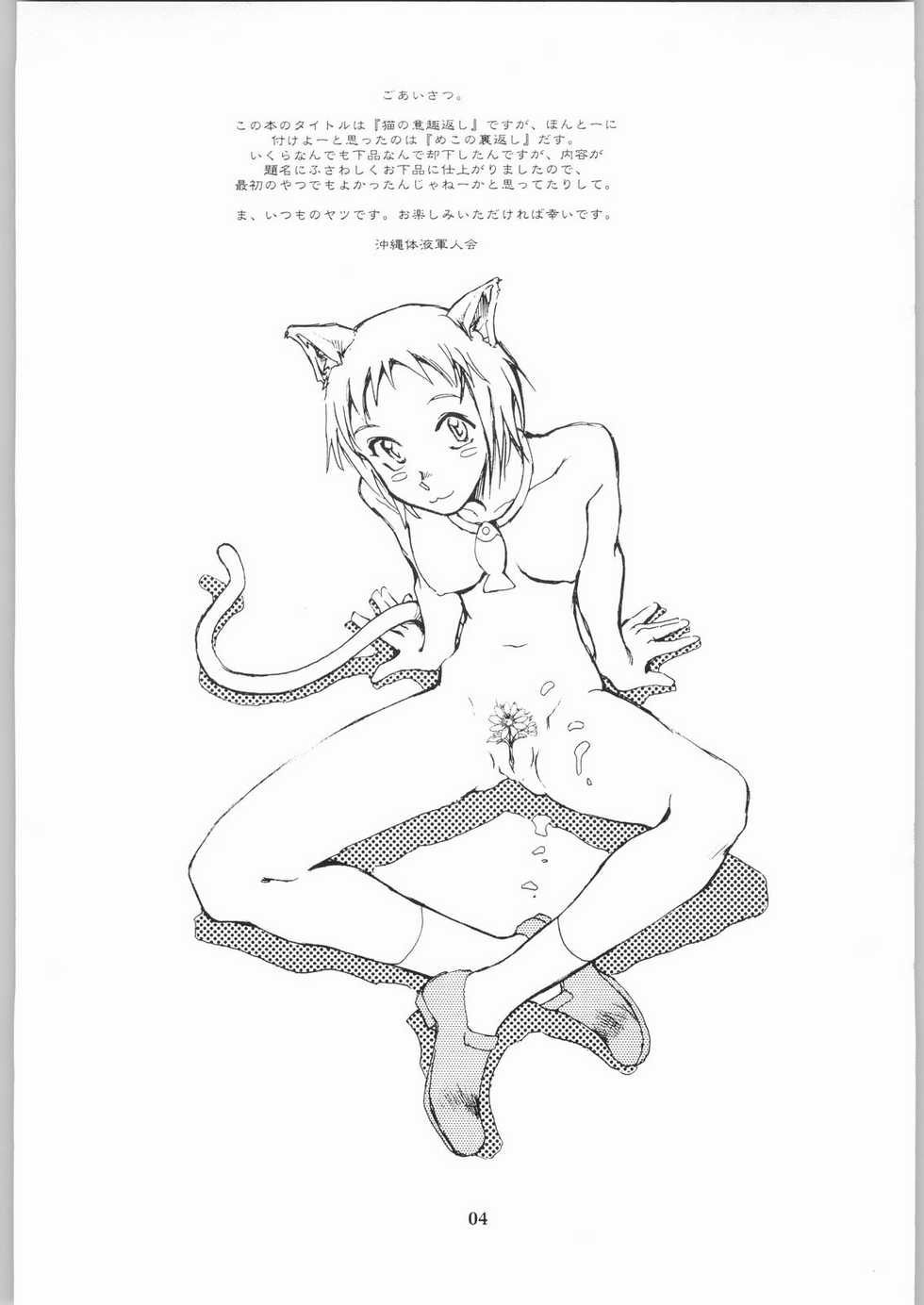 (CR33) [Okinawa Taieki Gunjinkai (Yasunaga Kouichirou)] Neko no Ishu-gaeshi (The Cat Returns) - Page 3