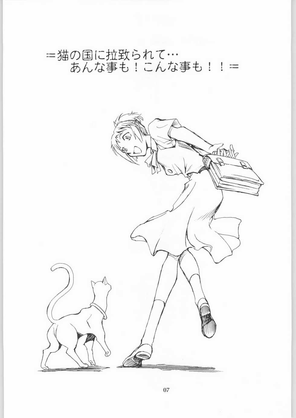 (CR33) [Okinawa Taieki Gunjinkai (Yasunaga Kouichirou)] Neko no Ishu-gaeshi (The Cat Returns) - Page 6