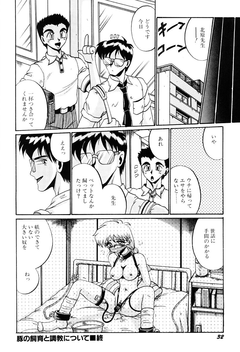 [Irotsuki Sakari] Hisoka na Tanoshimi - Page 33