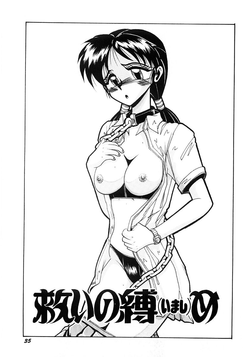 [Irotsuki Sakari] Hisoka na Tanoshimi - Page 36