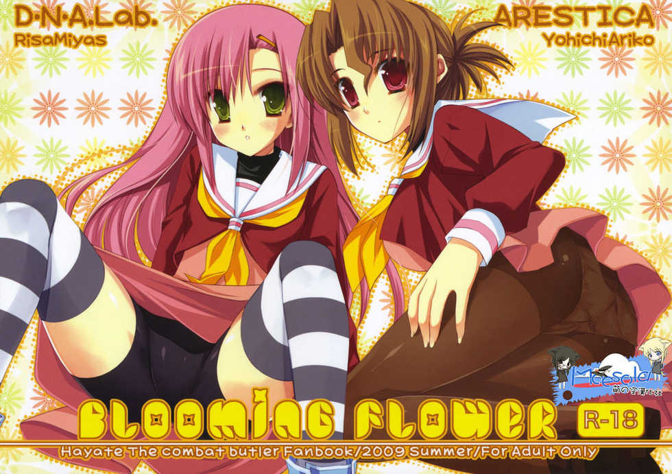 (C76) [ARESTICA, D.N.A.Lab. (Ariko Youichi, Miyasu Risa)] BLOOMING FLOWER (Hayate no Gotoku!) [Chinese] - Page 1