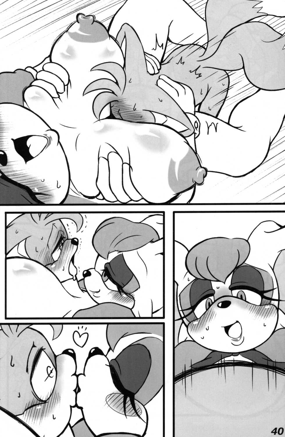 [Furry☆Fandom (Michiyoshi)] Kemono no Kanzume Kanzenban (Sonic the Hedgehog) - Page 39