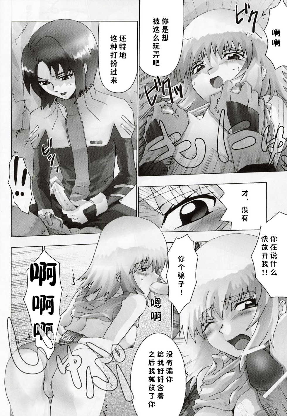 (C64) [Toluene Ittokan (Various)] KETSU! MEGATON Seed (Gundam SEED) [Chinese] [零食汉化组] - Page 10