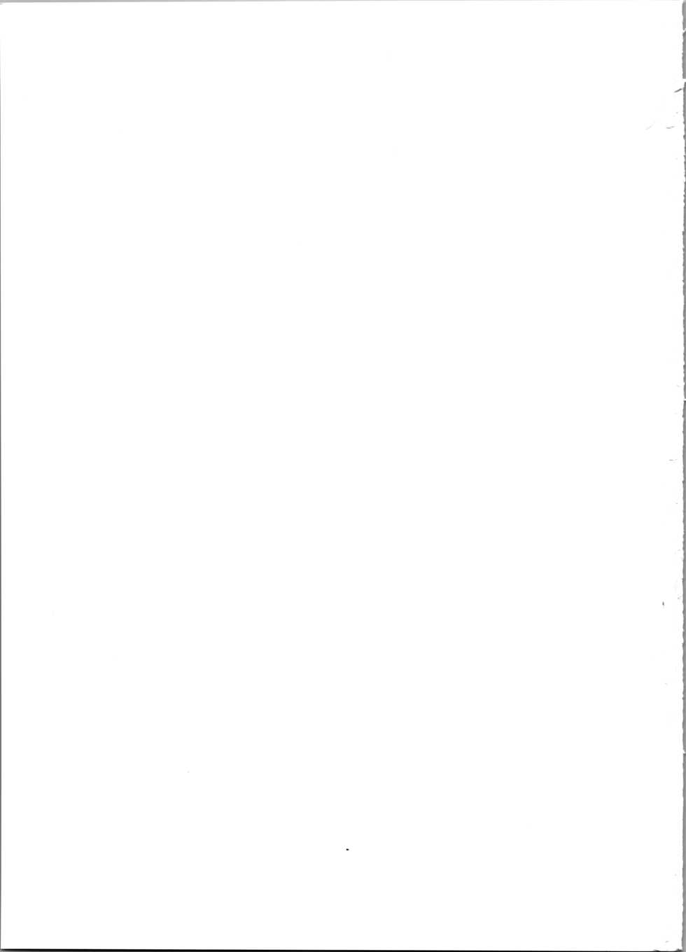 (C97) [Shinsei Lolishota (kozi, Kuzumochi)] Hobaku Shita Yuusha ni Adauchi o (The Legend of Zelda) [English] [Otokonoko Scans] - Page 21