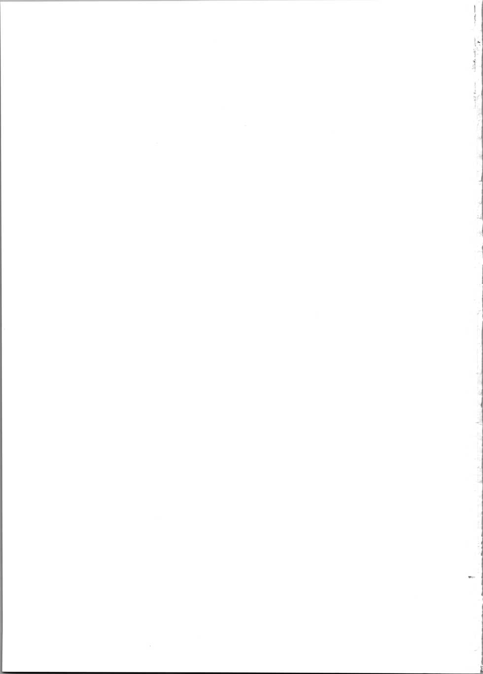 (C96) [Shinsei Lolishota (Kuzumochi, kozi)] Yokujou Yuusha wa Sex ga Shitai (The Legend of Zelda) [English] [Otokonoko Scans] - Page 23