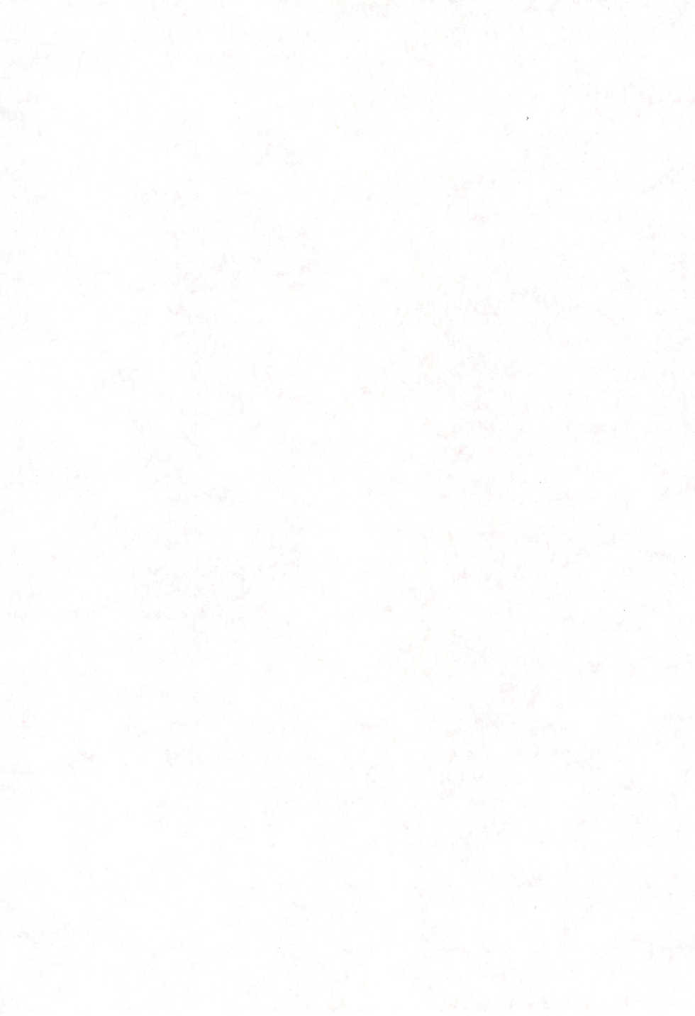 (C61) [CIRCLE FOUNDATION (Fujise Akira)] Hana-dayori (Sakura Wars) - Page 3