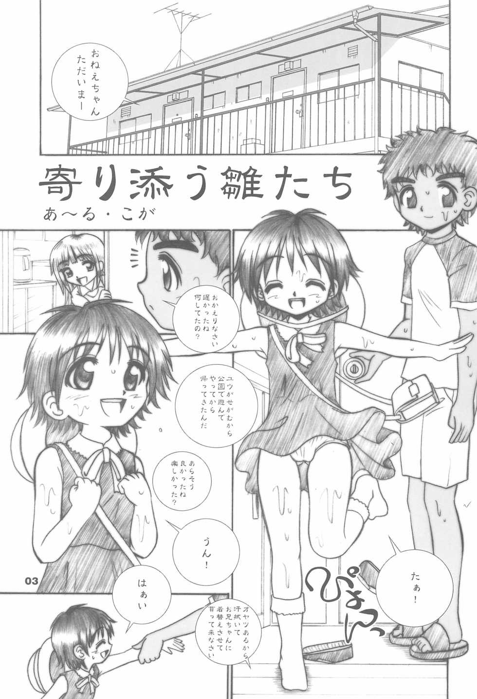 (C66) [Tenny Le Tai (R-Koga)] P-ZONE - Page 3