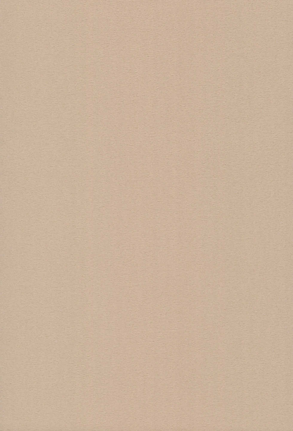 (C66) [Tenny Le Tai (R-Koga)] P-ZONE - Page 11