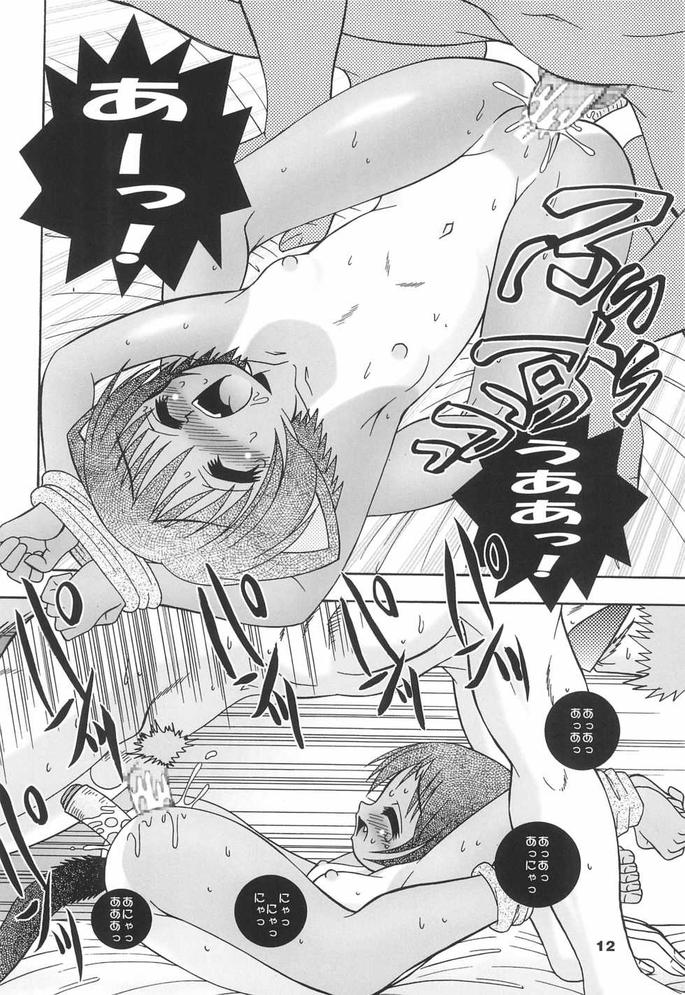 (C68) [Tenny Le Tai (Various)] Hironeko - Page 12