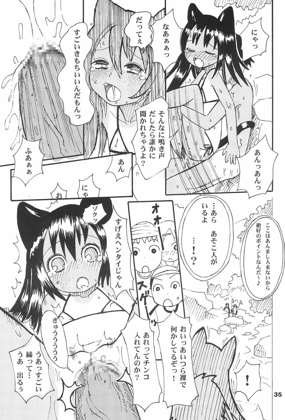 (C68) [Tenny Le Tai (Various)] Hironeko - Page 35