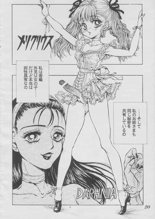 (C55) [Damage Honpo, LULU Koubou (Various)] Seraphita Vol.3 - Page 19