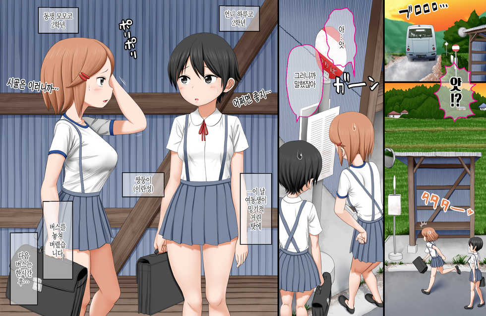 [AIM] Ikai Yomeiri Kitan ~Gakkou Gaeri ni Mayoikonde Kaibutsu-tachi ni Iroiro Sarechatta Shimai no Hanashi~ | 이괴 가입 기담 ~하교길에 이계로 흘러들어가 괴물들에게 여러가지로 당해버린 자매의 이야기~ [Korean] - Page 2