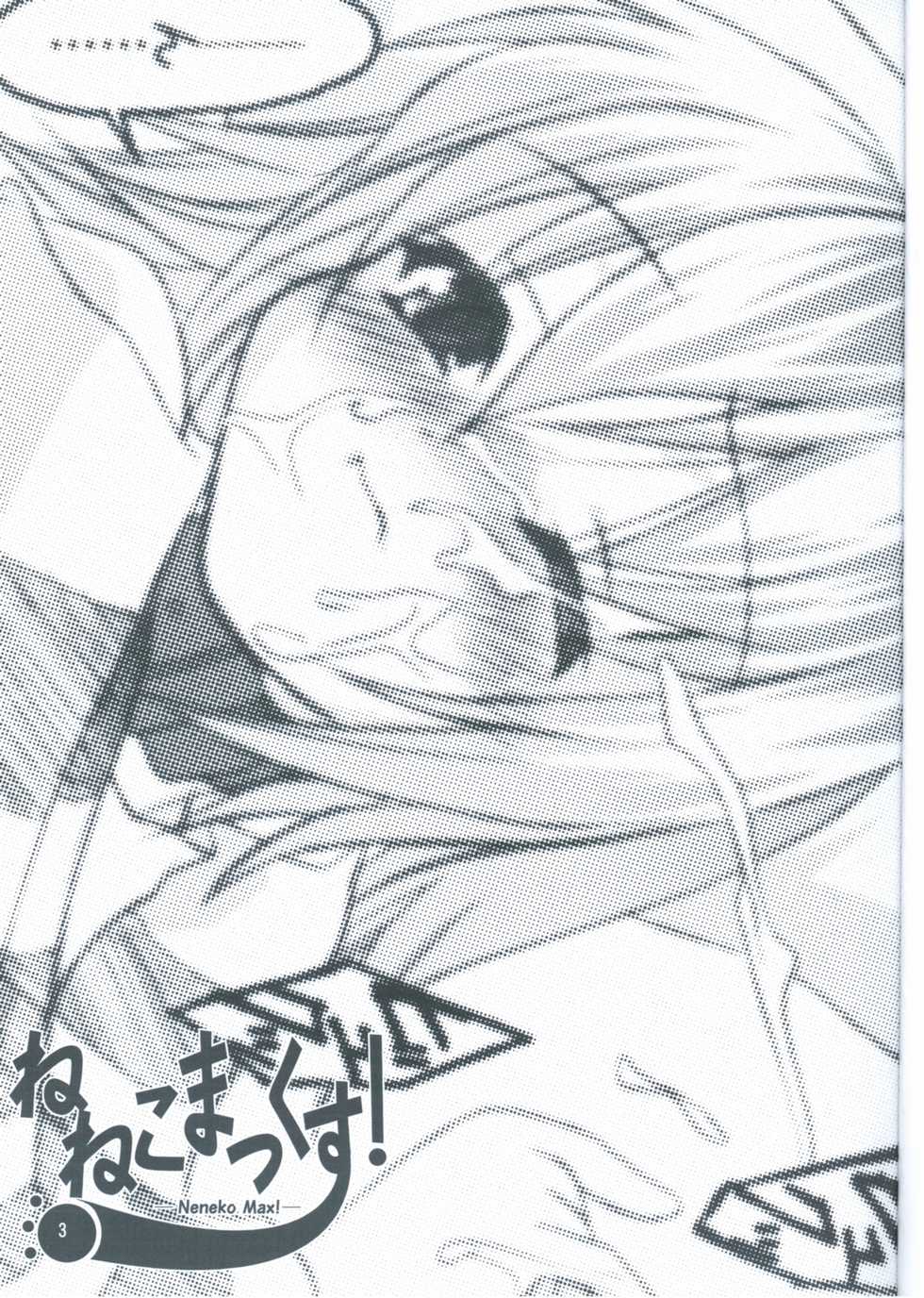 (C64) [Blood Elemental (Kitasato Makoto)] Neneko Max! (Yumeria) - Page 2