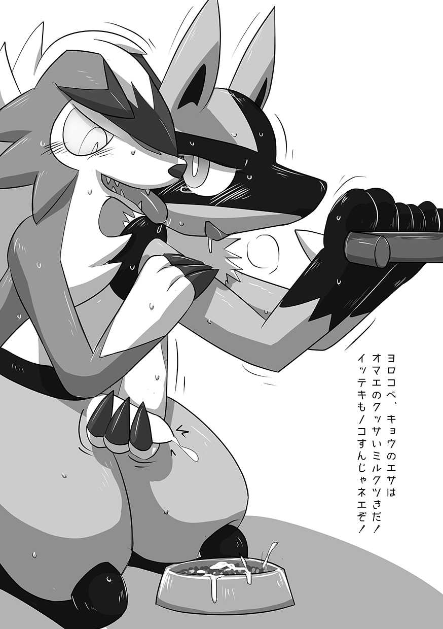 [Kuroha Karasu] Marking wolves (Pokémon) [Digital] - Page 15