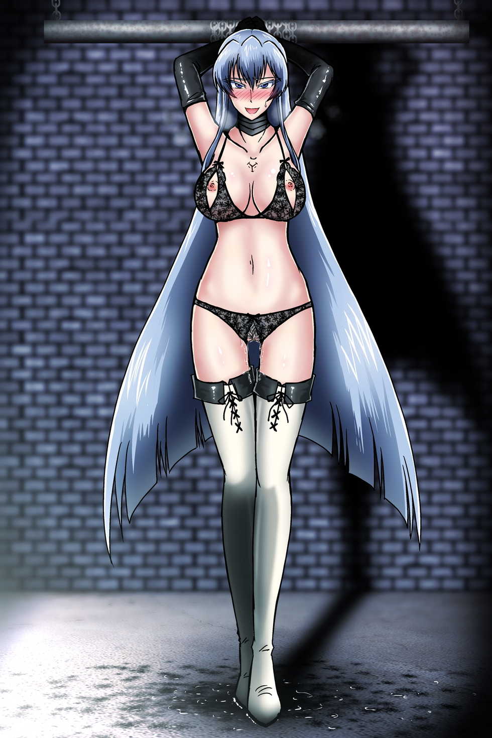 [Tasuro Kuzuha] Touzoku-tachi no Choukyou _ Esdeath (Akame ga Kill!) - Page 13