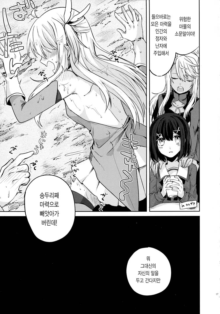 (C97) [Haruka Kita (Tsukushi Haru)] Illya-san! Shokushu to Hatsujou Sex shicha tte Kudasai! │이리야 씨! 촉수랑 발정섹스 해주세요! (Fate/Grand Order) [Korean] - Page 17