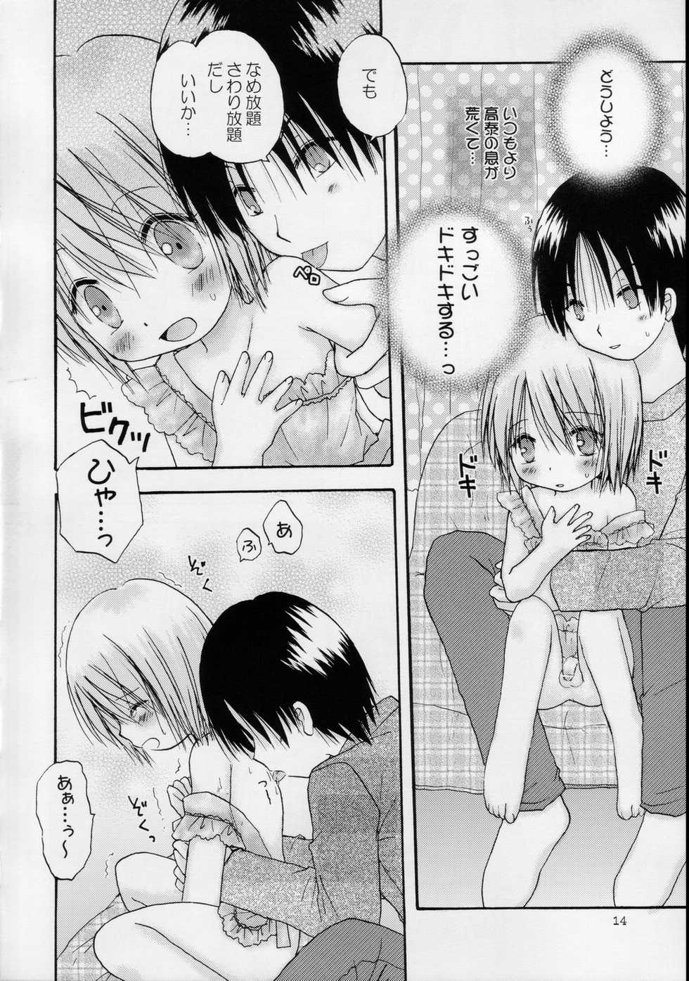 (C68) [Penguin San (Shinosaki Ariko)] CAPTIVE 3+4 - Page 14